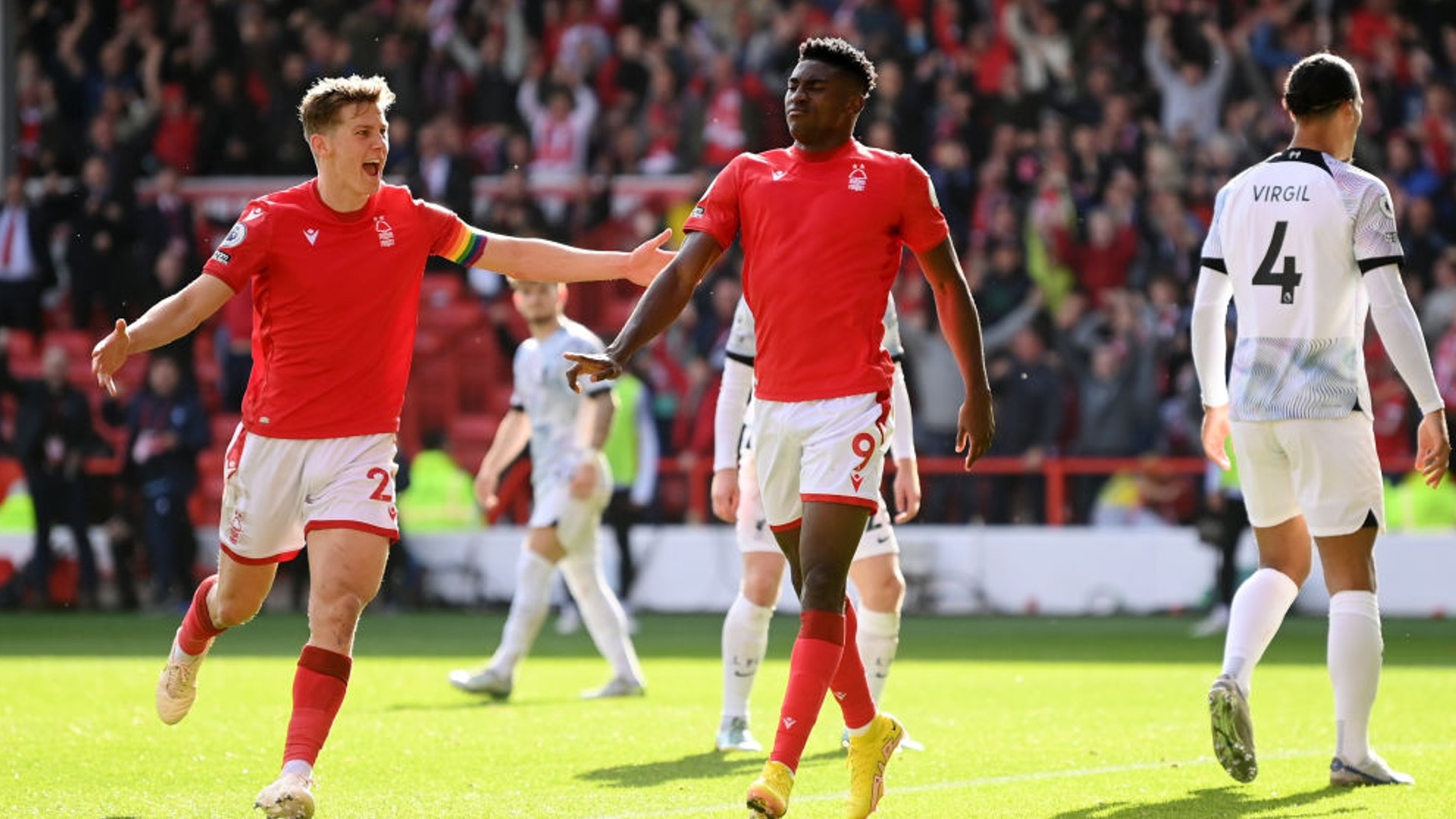 伐木等活动 伐木等活动